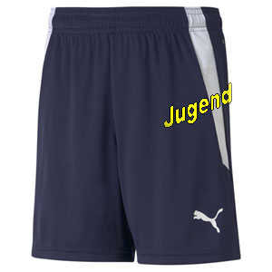 puma-shorts-j puma-shorts-j