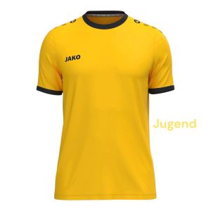 jakoshirtkap-j