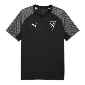 pumashirt pumashirt