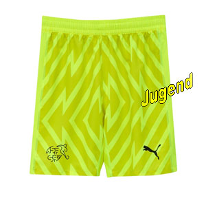 schweizer-tw-shorts-j