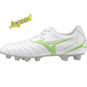 mizuno-morelianeo-j mizuno-morelianeo-j