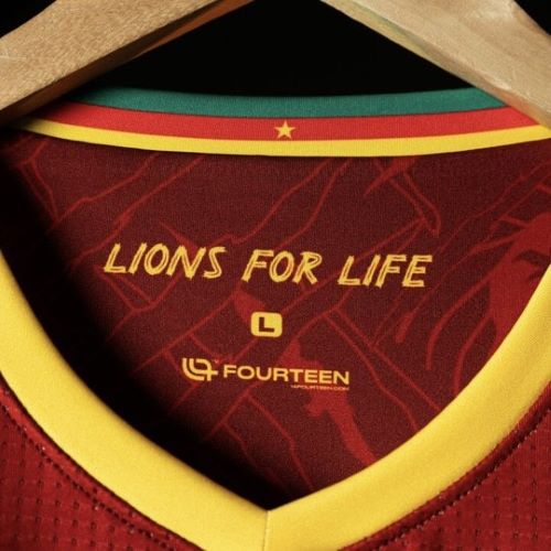 kamerun-awayshirt5b kamerun-awayshirt5b