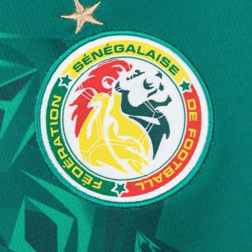 senegal-away-shirt-l senegal-away-shirt-l