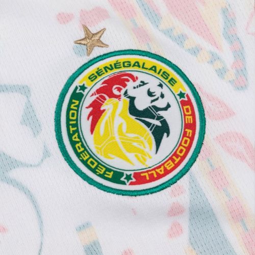 senegal-home-shirt-l senegal-home-shirt-l
