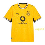 bvb-homeshirt-j