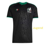 mexico-thirdshirt-j