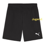 puma-shortsj