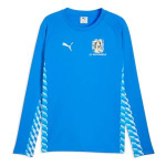 puma-top