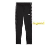 pumapantsj
