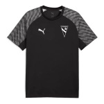pumashirt