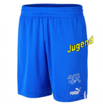 schweizer-goalk-shorts-j