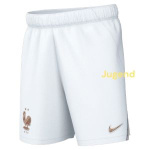france-home-shorts